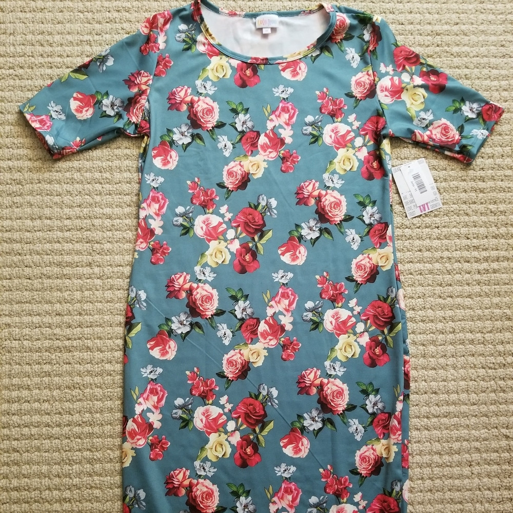 Lularoe Julia dress